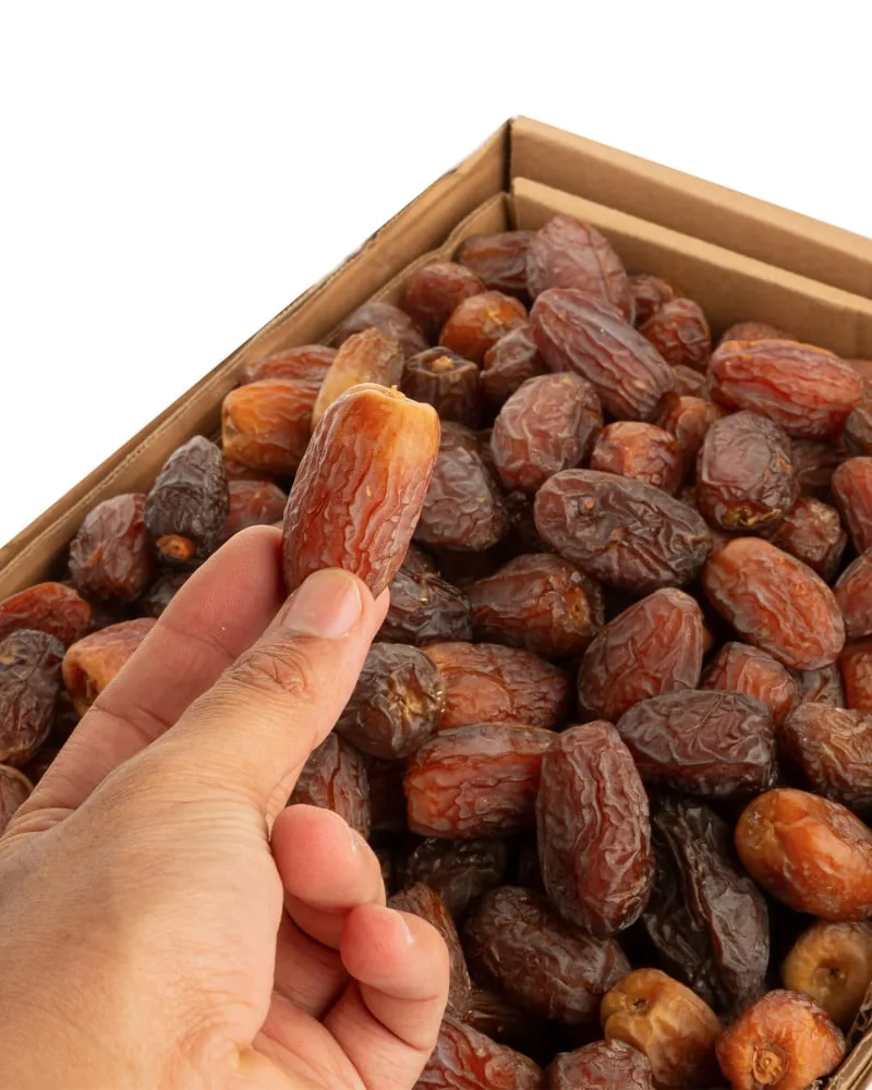 يد تمسك حبة مجدول فوق كرتون مليء بالمجدول